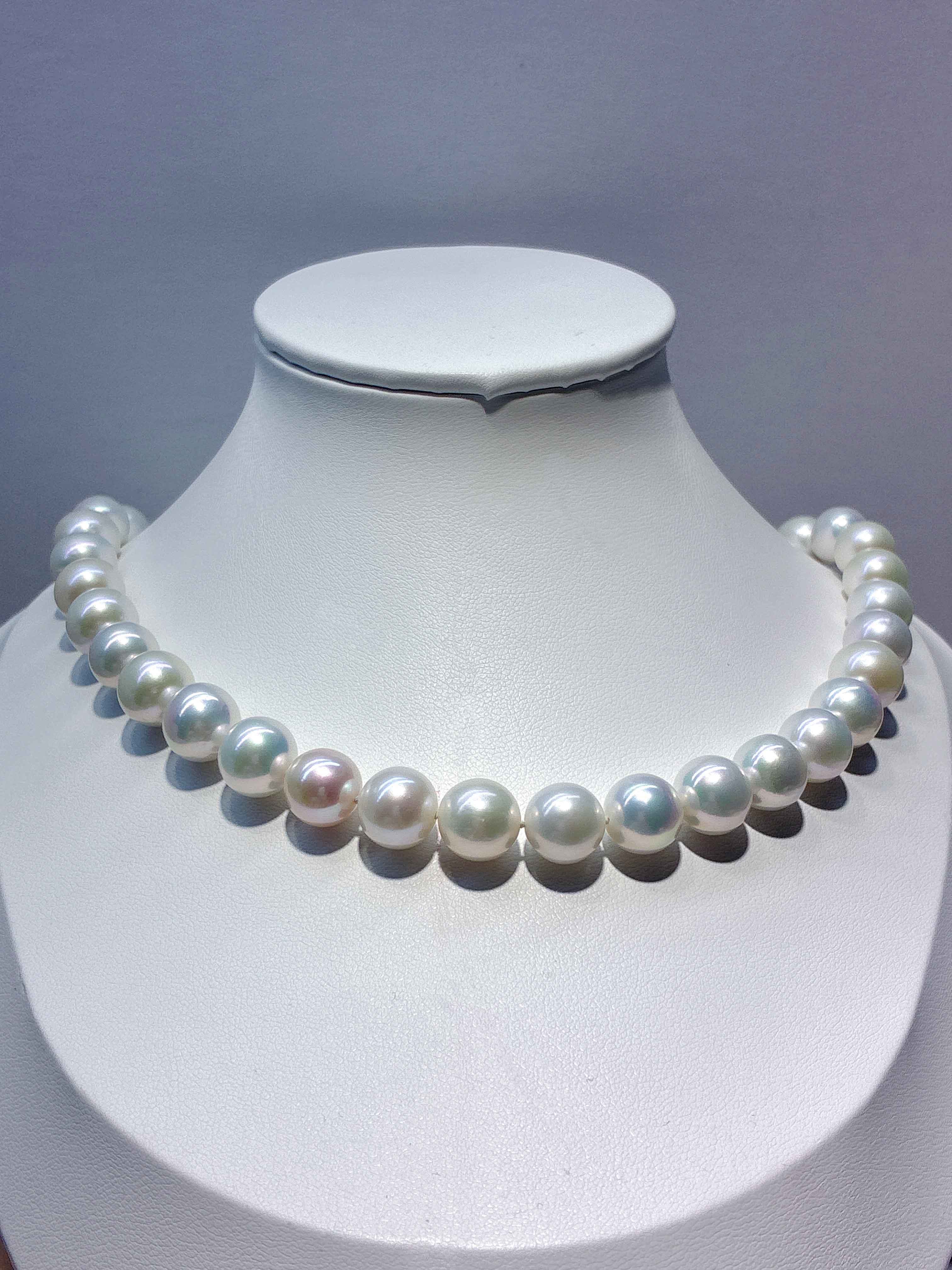 023 Edison Freshwater Pearl